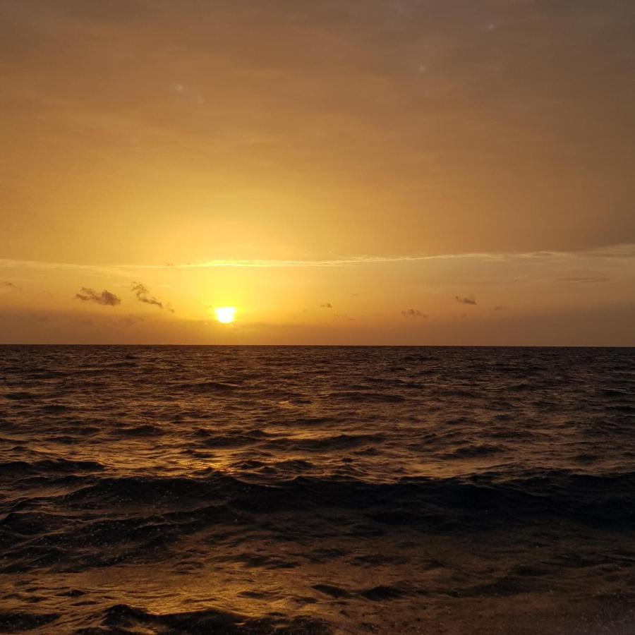 Vaali Maldives Island Escapes & Dive Ξενοδοχείο Felidhoo Εξωτερικό φωτογραφία