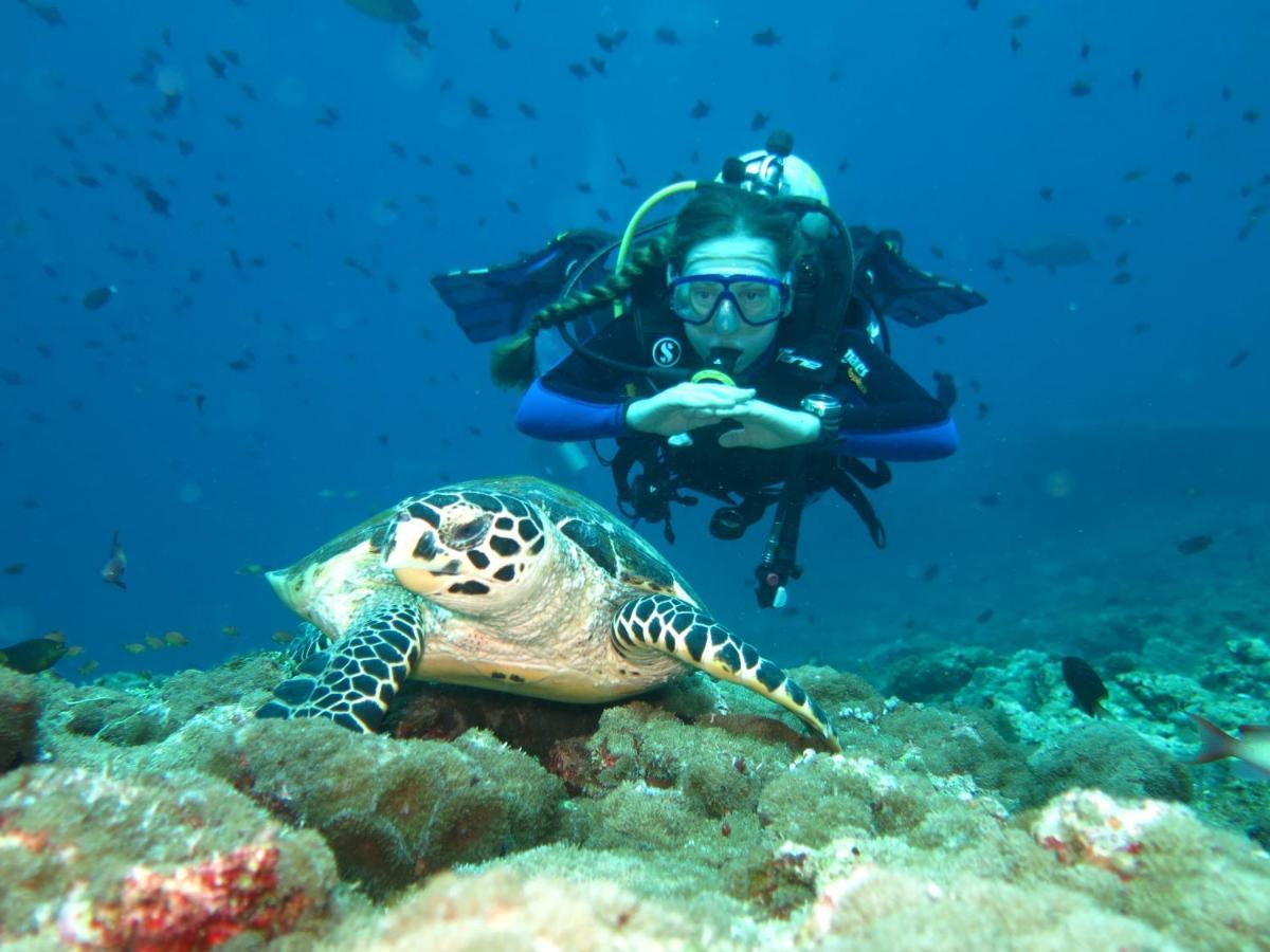 Vaali Maldives Island Escapes & Dive Ξενοδοχείο Felidhoo Εξωτερικό φωτογραφία