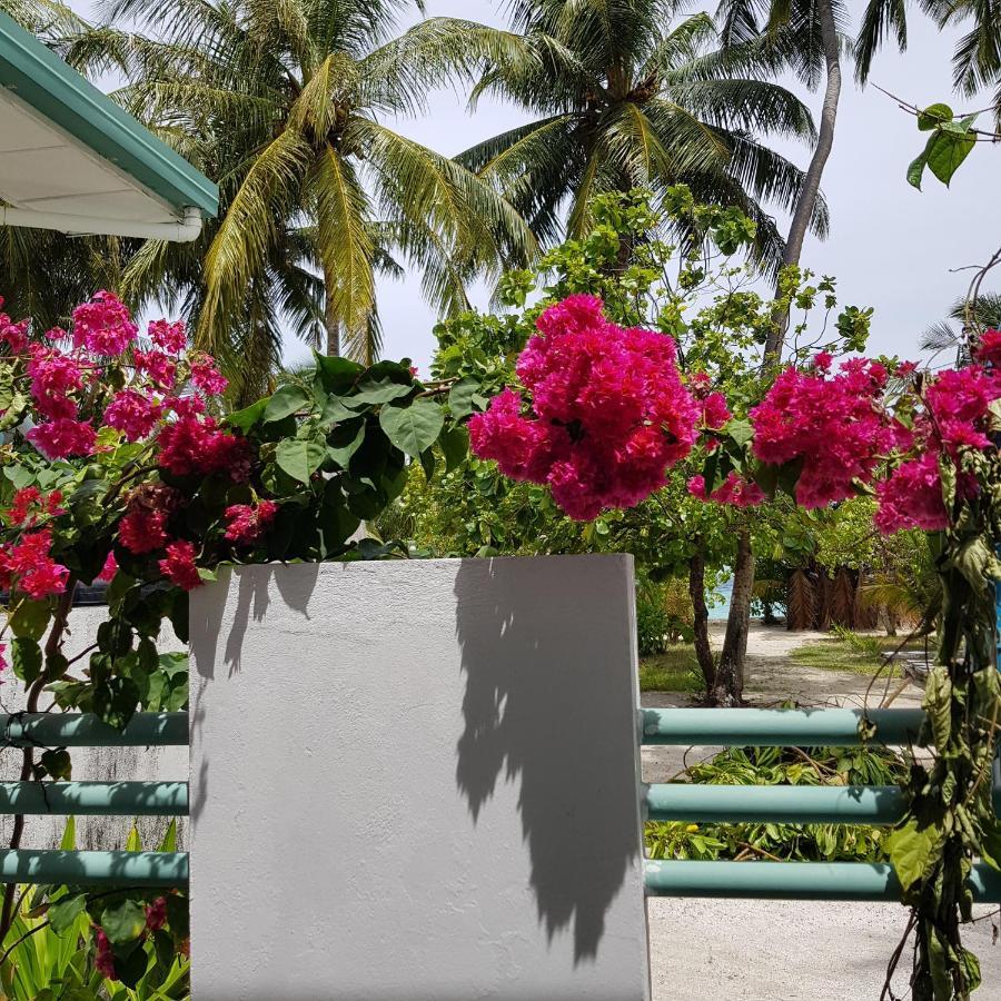 Vaali Maldives Island Escapes & Dive Ξενοδοχείο Felidhoo Εξωτερικό φωτογραφία