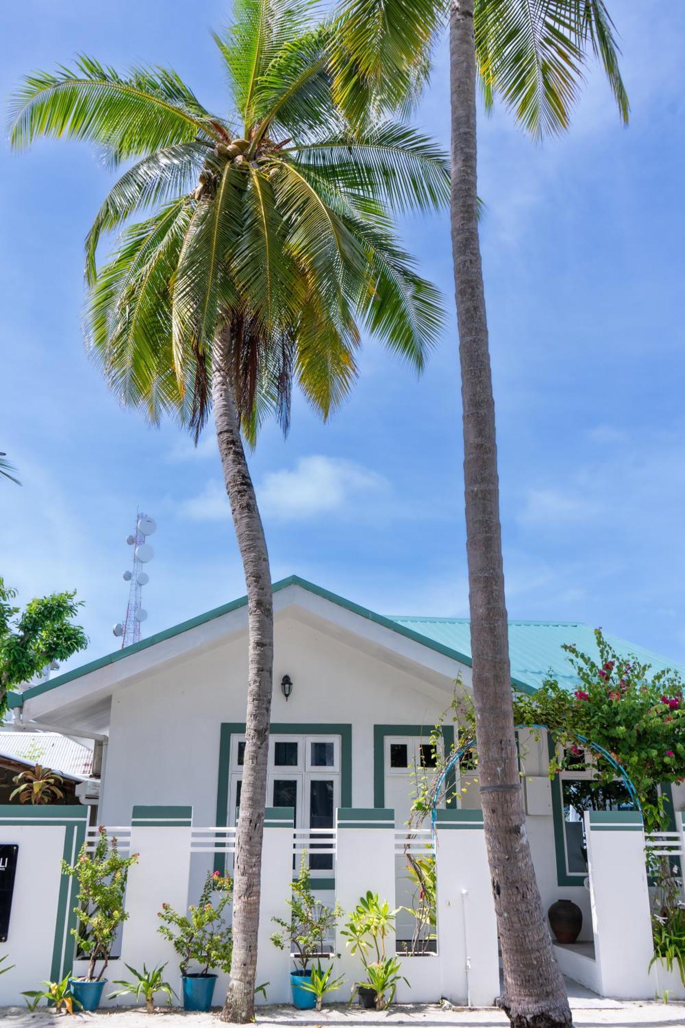 Vaali Maldives Island Escapes & Dive Ξενοδοχείο Felidhoo Εξωτερικό φωτογραφία
