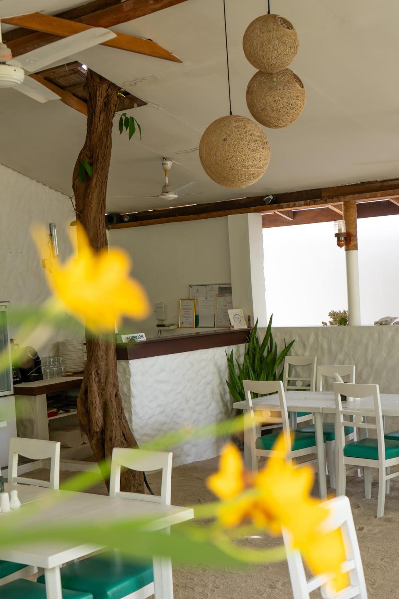 Vaali Maldives Island Escapes & Dive Ξενοδοχείο Felidhoo Εξωτερικό φωτογραφία