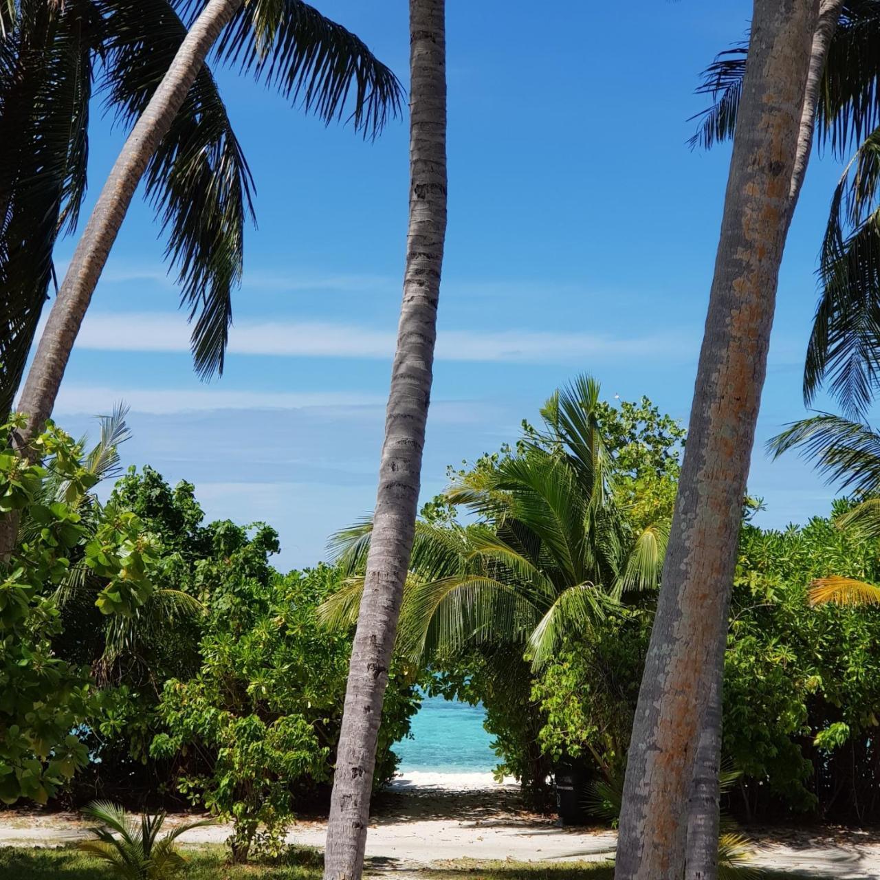 Vaali Maldives Island Escapes & Dive Ξενοδοχείο Felidhoo Εξωτερικό φωτογραφία