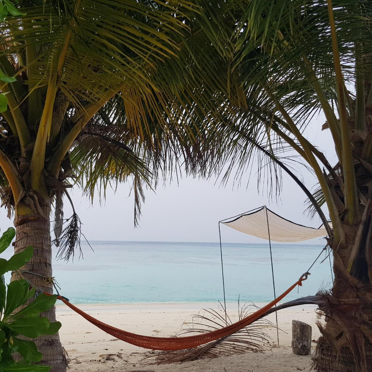Vaali Maldives Island Escapes & Dive Ξενοδοχείο Felidhoo Εξωτερικό φωτογραφία